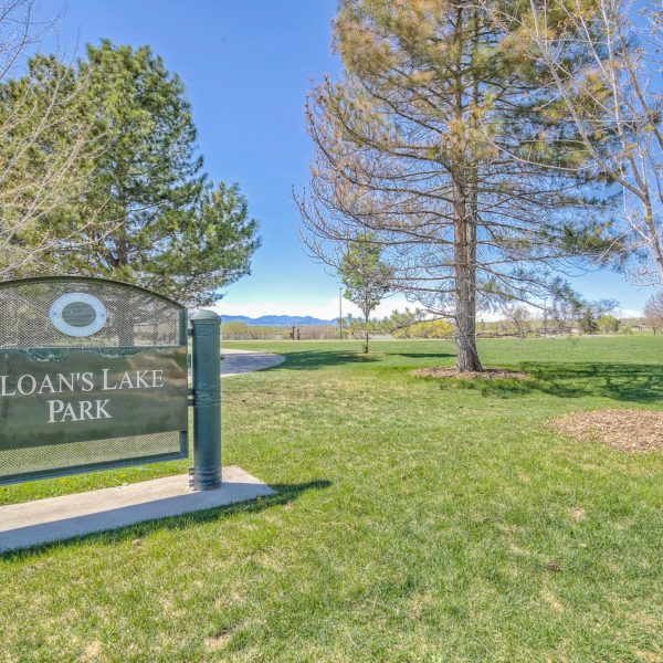 Sloans Lake Modern Wild & Mild Homes